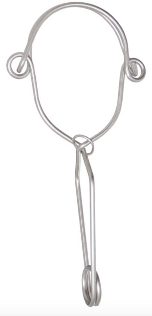Kratos - Regular INOX Anchorage Hook - 110mm Gate Opening 110mm