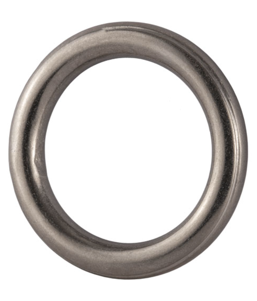Stainless Steel AISI 316 Round Ring 12x100mm