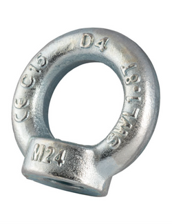 Mild Steel Electro Galvanised Eyenut