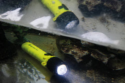 Sigma 4AA - 185 Lumens - Zone 0 - ATEX Flashlight - Zone 0