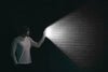 NexSun Corsican - 950 Lumens - Solar Floodlight / Wall Light