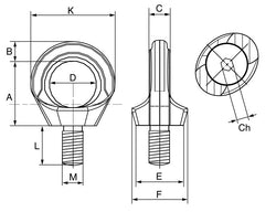 Cartec Grade 6 Stainless Steel AISI 316L Rotating Eyebolt