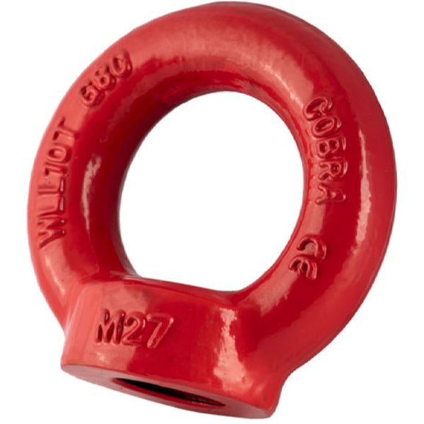 GT Cobra Grade 80 Eyenut from RiggingUK