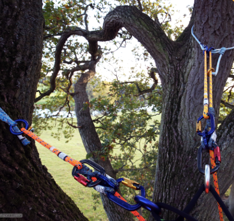 STEIN - COPIOUS RingLoop R40 P-Tec Cord - 40cm (EWL) / 10mm