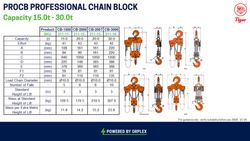 30,000kg CHAIN BLOCK PROCB14