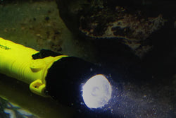 Sigma Zoom - 83-235 Lumens - Zone 0 - ATEX Zoom Flashlight