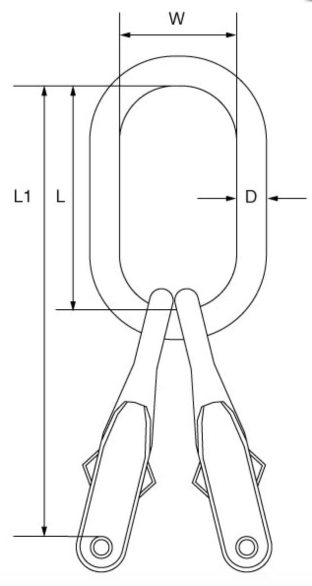 Grade 10 2 Leg Master Link  - DG2 Series to BS-EN 1677-4