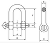 Cartec Grade 6 AISI 316L Dee Shackle with Screw Collar Pin