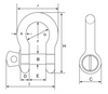 Green Pin Grade 6 Theatre Bow Shackle with Screw Collar Pin