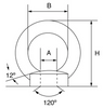 Stainless Steel Load Rated Eyenut - AISI 316 from RiggingUK